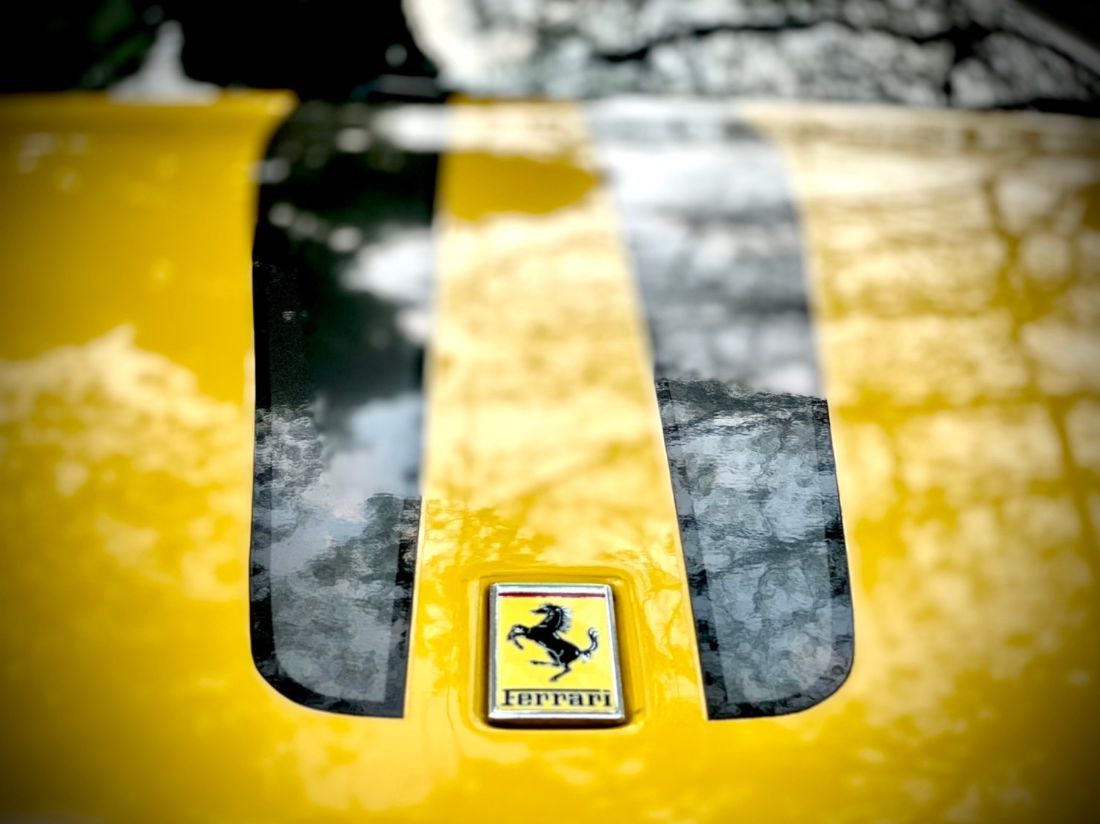 Thumbnail [100%x225]